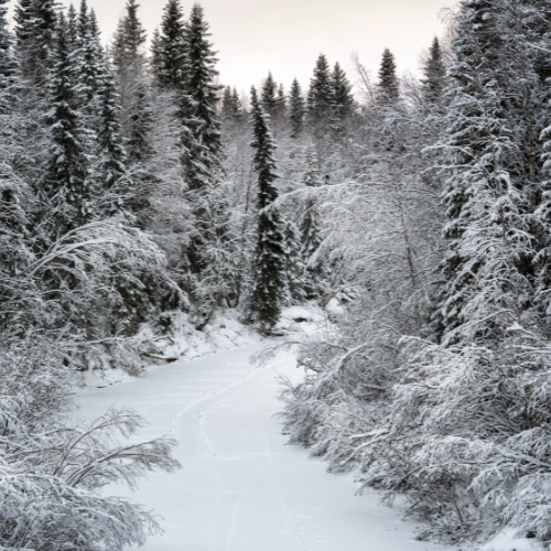 Acrostic Poem: Snowflakes